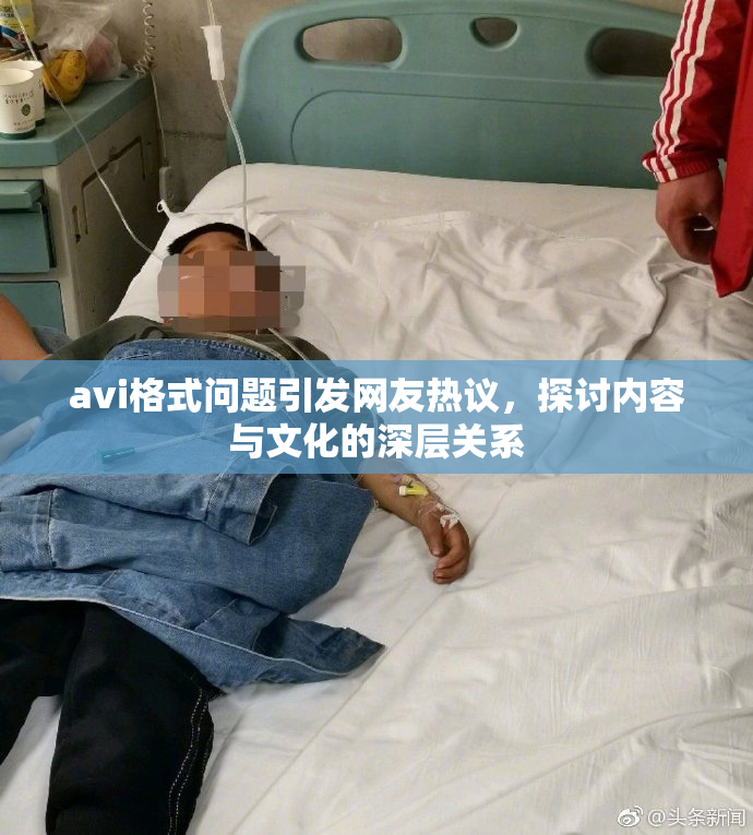 avi格式问题引发网友热议，探讨内容与文化的深层关系