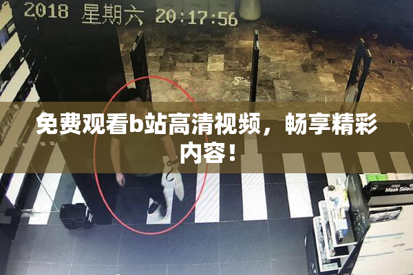 免费观看b站高清视频，畅享精彩内容！