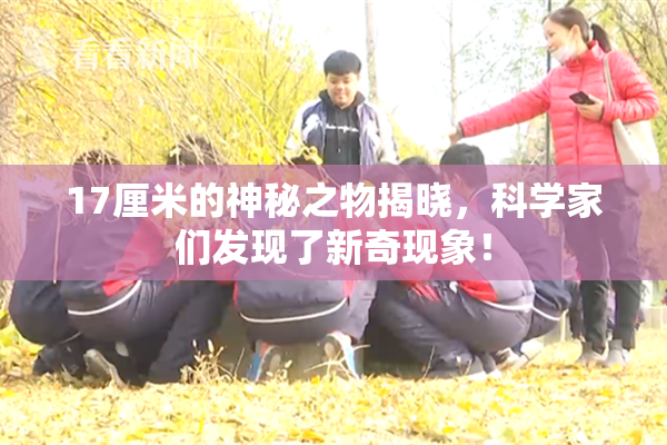 17厘米的神秘之物揭晓，科学家们发现了新奇现象！