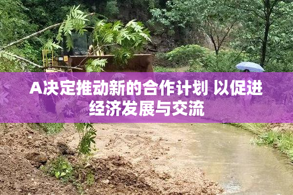 A决定推动新的合作计划 以促进经济发展与交流