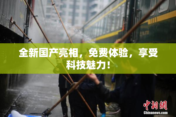 全新国产亮相，免费体验，享受科技魅力！