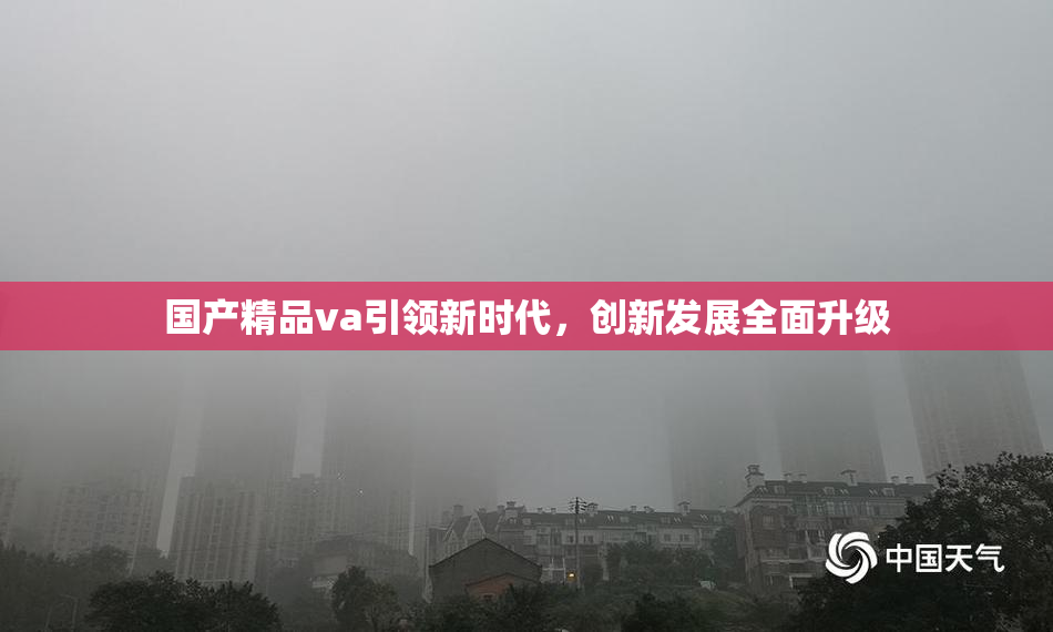 国产精品va引领新时代，创新发展全面升级