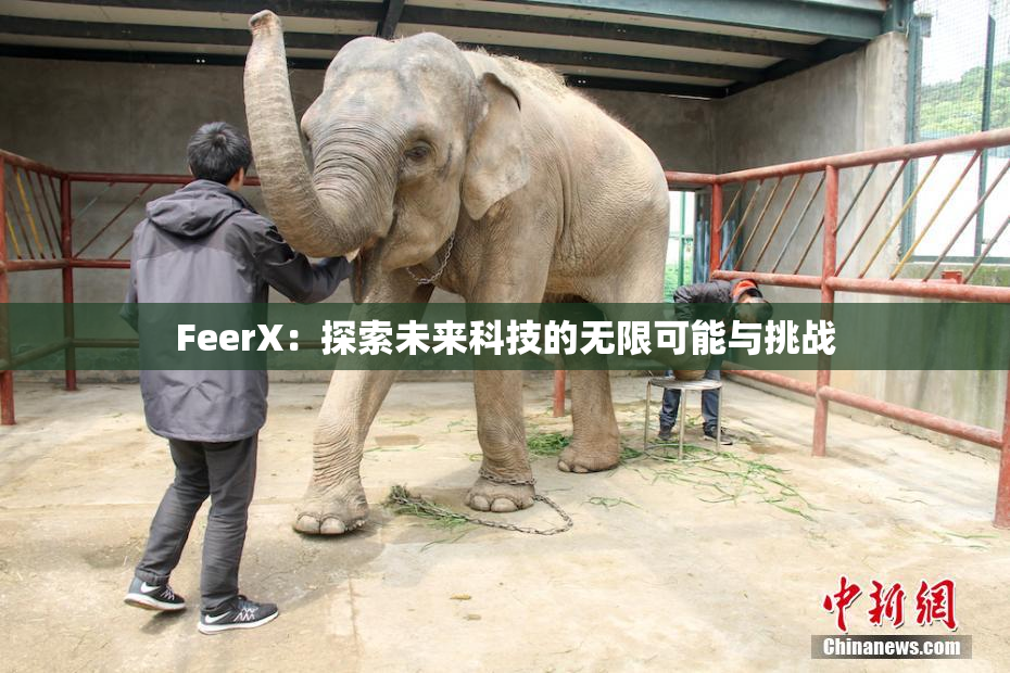 FeerX：探索未来科技的无限可能与挑战