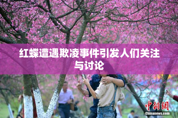 红蝶遭遇欺凌事件引发人们关注与讨论