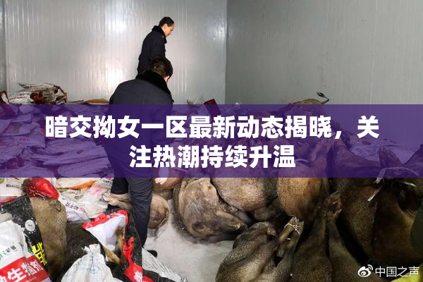 暗交拗女一区最新动态揭晓，关注热潮持续升温