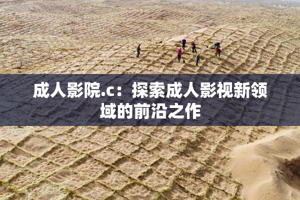 成人影院.c：探索成人影视新领域的前沿之作