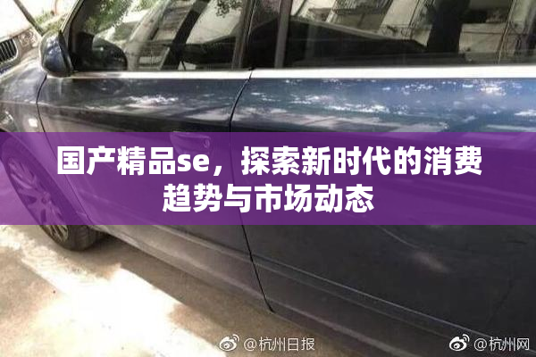 国产精品se，探索新时代的消费趋势与市场动态