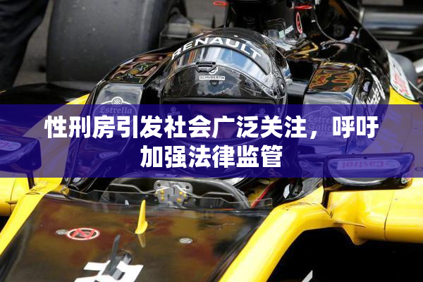 性刑房引发社会广泛关注，呼吁加强法律监管