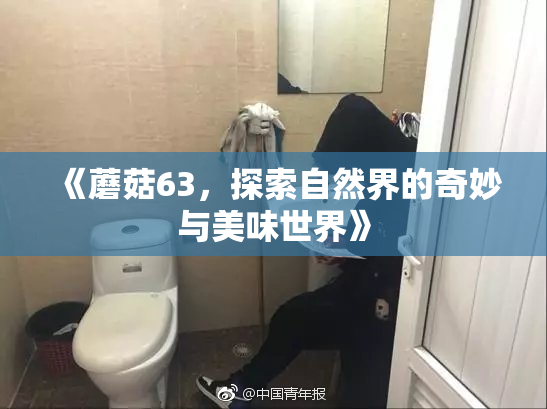 《蘑菇63，探索自然界的奇妙与美味世界》