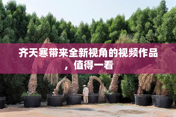 齐天寒带来全新视角的视频作品，值得一看