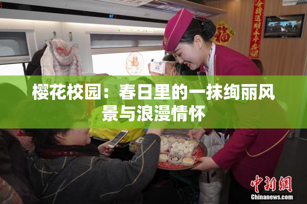 樱花校园：春日里的一抹绚丽风景与浪漫情怀