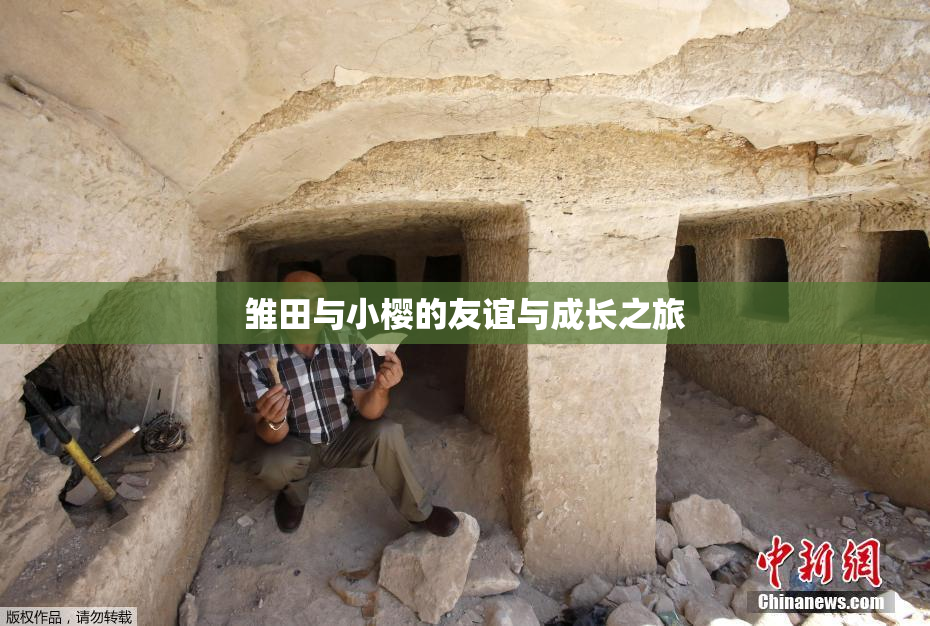 雏田与小樱的友谊与成长之旅