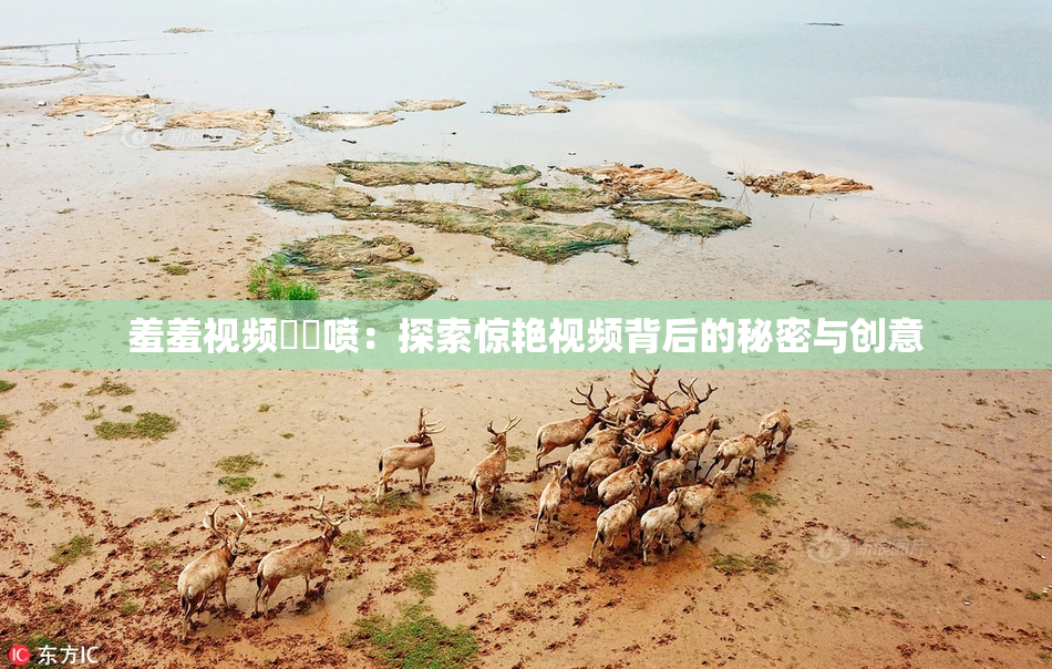 羞羞视频❌‌喷：探索惊艳视频背后的秘密与创意