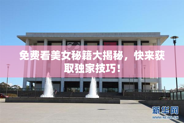 免费看美女秘籍大揭秘，快来获取独家技巧！