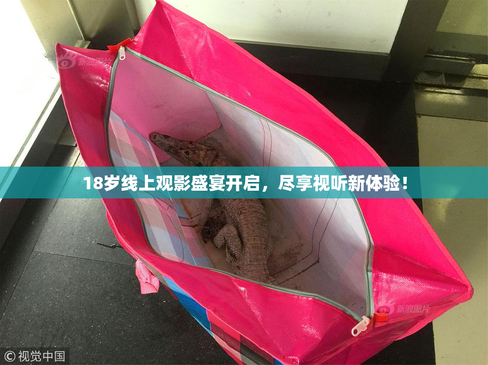 18岁线上观影盛宴开启，尽享视听新体验！