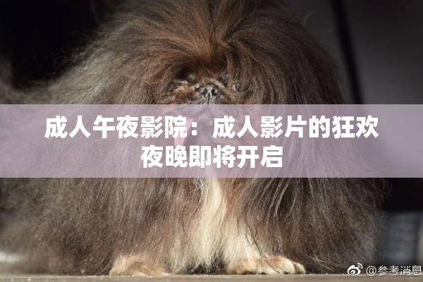 成人午夜影院：成人影片的狂欢夜晚即将开启