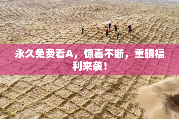 永久免费看A，惊喜不断，重磅福利来袭！