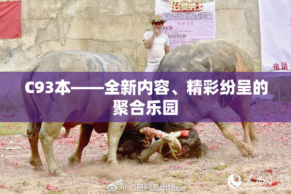 C93本——全新内容、精彩纷呈的聚合乐园