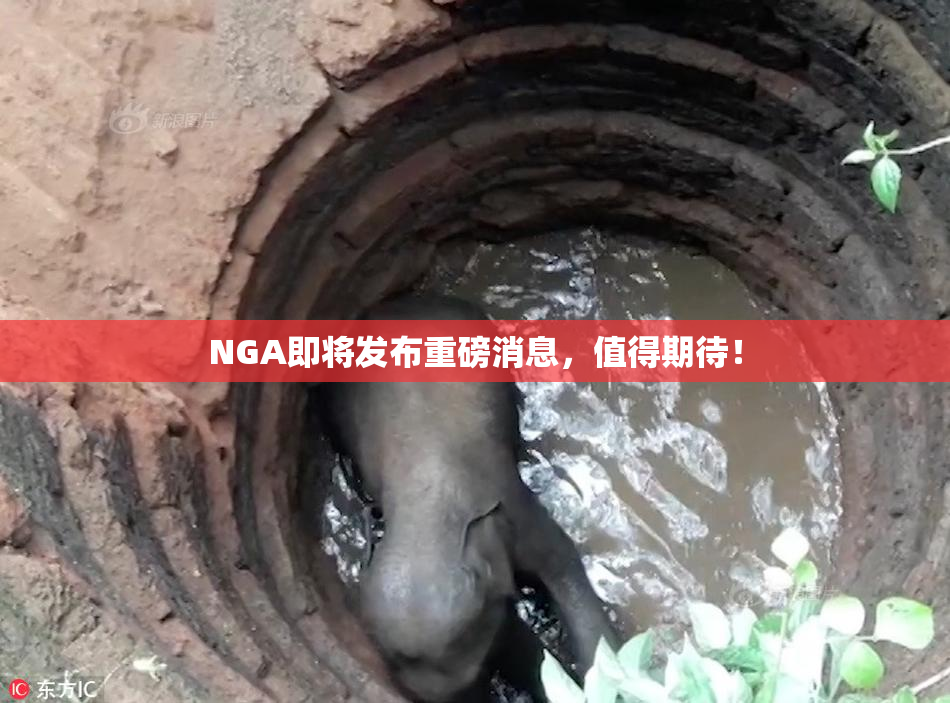NGA即将发布重磅消息，值得期待！