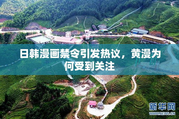 日韩漫画禁令引发热议，黄漫为何受到关注