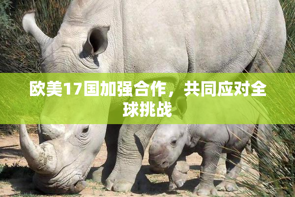 欧美17国加强合作，共同应对全球挑战