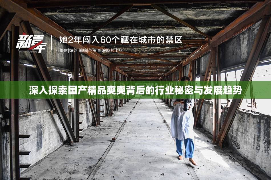 深入探索国产精品爽爽背后的行业秘密与发展趋势