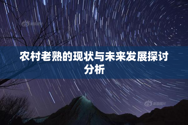 农村老熟的现状与未来发展探讨分析