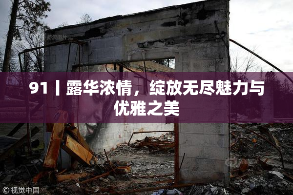 91丨露华浓情，绽放无尽魅力与优雅之美