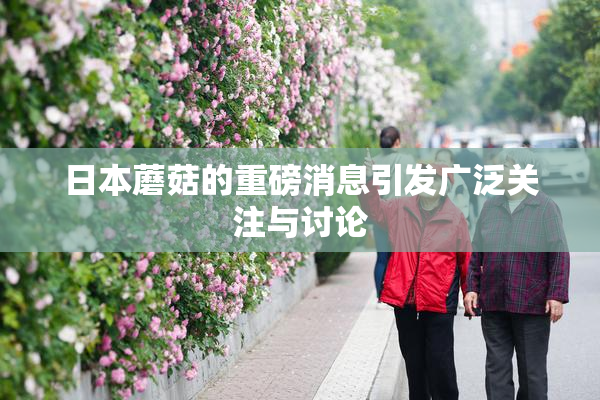 日本蘑菇的重磅消息引发广泛关注与讨论