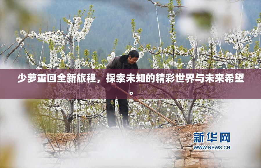 少萝重回全新旅程，探索未知的精彩世界与未来希望。