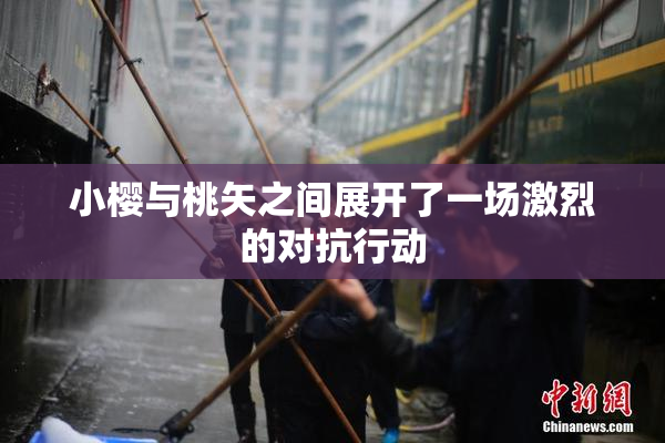 小樱与桃矢之间展开了一场激烈的对抗行动