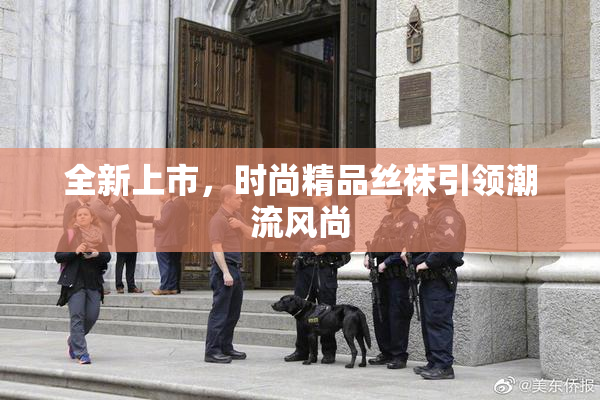 全新上市，时尚精品丝袜引领潮流风尚