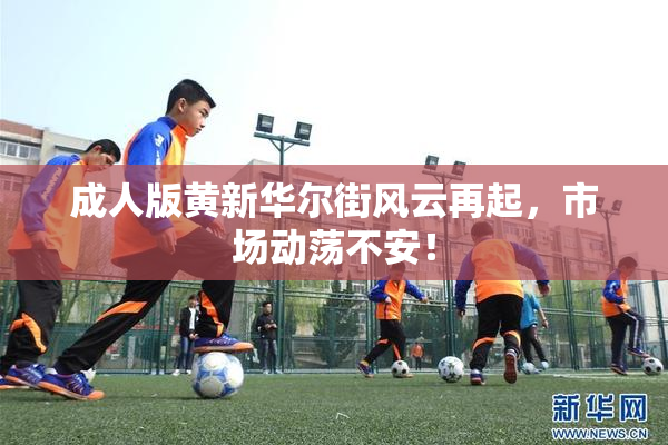 成人版黄新华尔街风云再起，市场动荡不安！