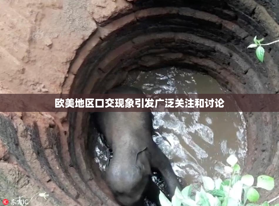欧美地区口交现象引发广泛关注和讨论