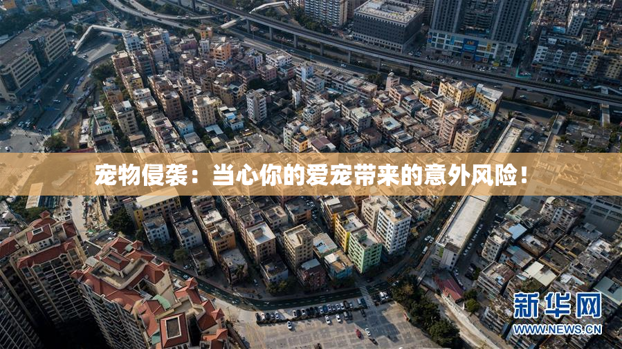 宠物侵袭：当心你的爱宠带来的意外风险！