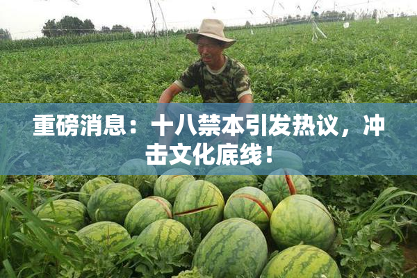 重磅消息：十八禁本引发热议，冲击文化底线！