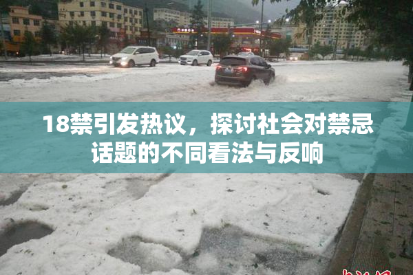 18禁引发热议，探讨社会对禁忌话题的不同看法与反响