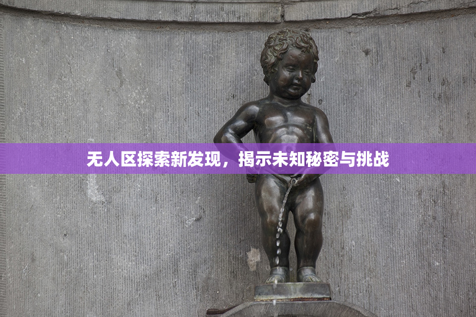 无人区探索新发现，揭示未知秘密与挑战