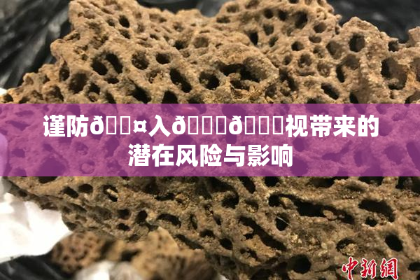 谨防🐤入🍑🍑视带来的潜在风险与影响