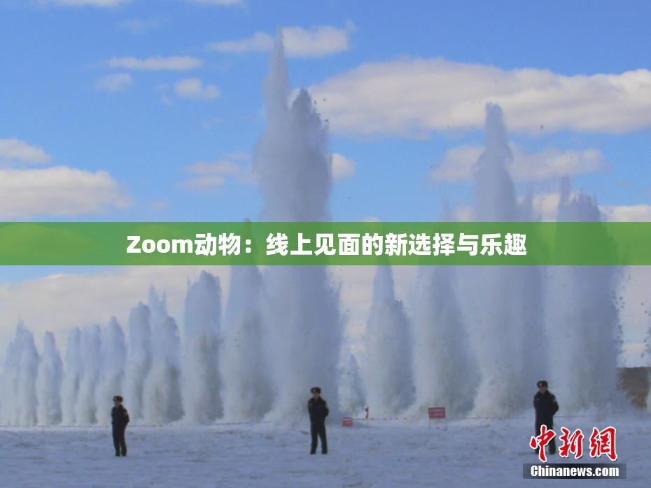 Zoom动物：线上见面的新选择与乐趣