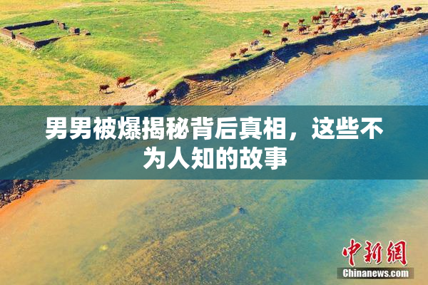 男男被爆揭秘背后真相，这些不为人知的故事
