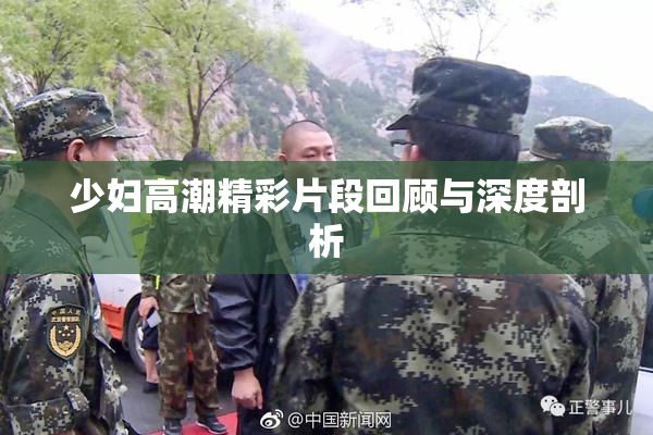 少妇高潮精彩片段回顾与深度剖析