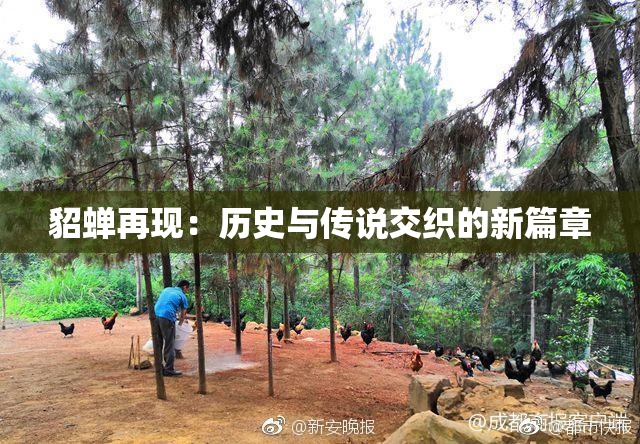 貂蝉再现：历史与传说交织的新篇章