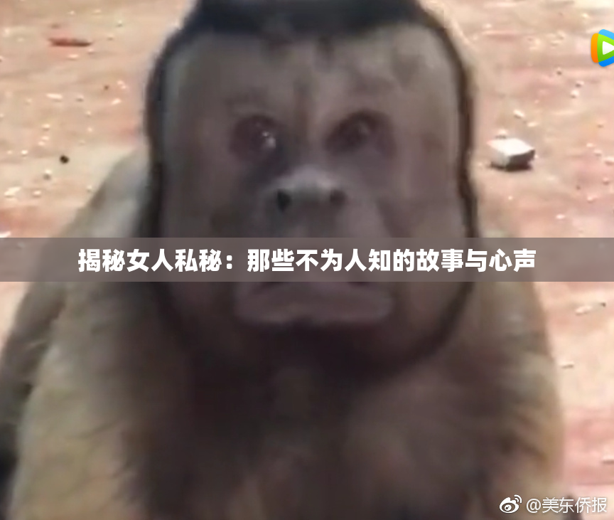 揭秘女人私秘：那些不为人知的故事与心声