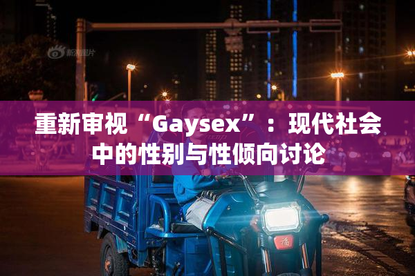 重新审视“Gaysex”：现代社会中的性别与性倾向讨论