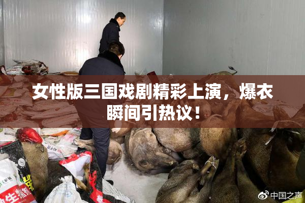 女性版三国戏剧精彩上演，爆衣瞬间引热议！