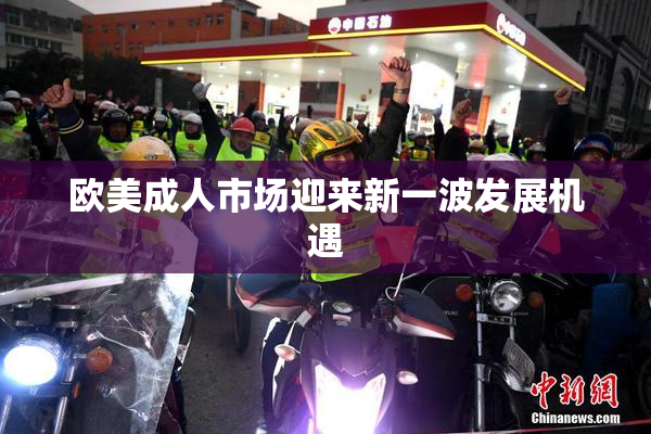 欧美成人市场迎来新一波发展机遇
