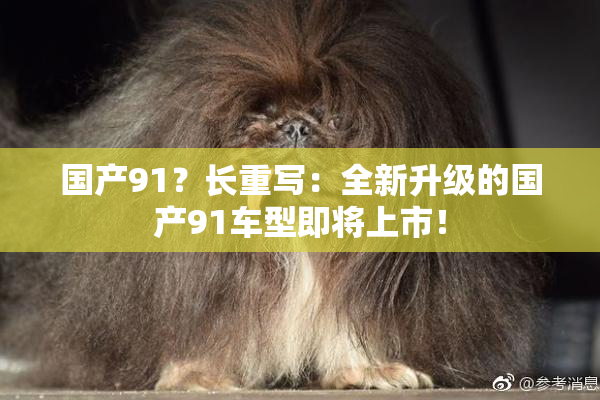 国产91？长重写：全新升级的国产91车型即将上市！
