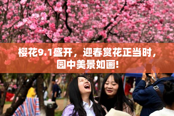 樱花9.1盛开，迎春赏花正当时，园中美景如画!