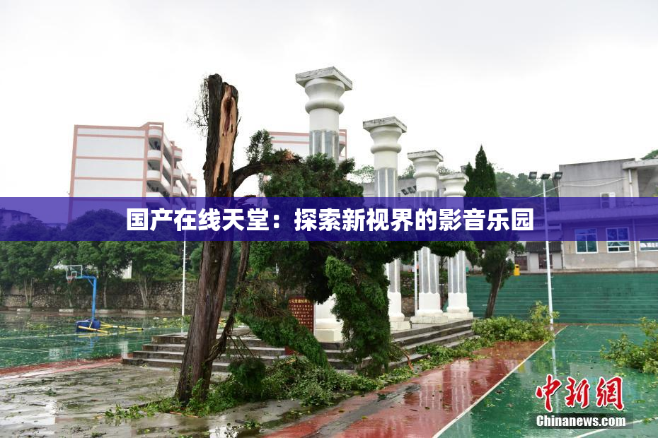 国产在线天堂：探索新视界的影音乐园